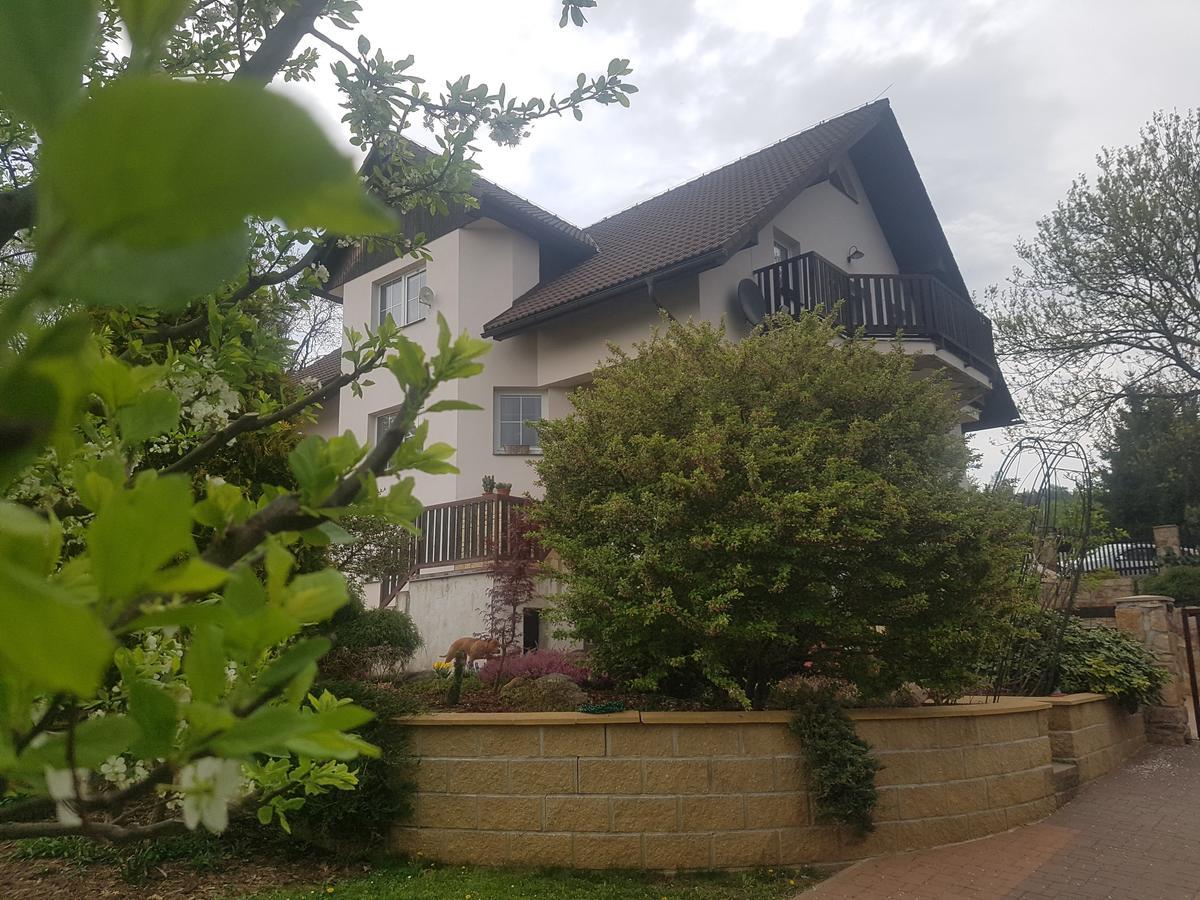 Česká Kamenice Vila Na Skalce מראה חיצוני תמונה