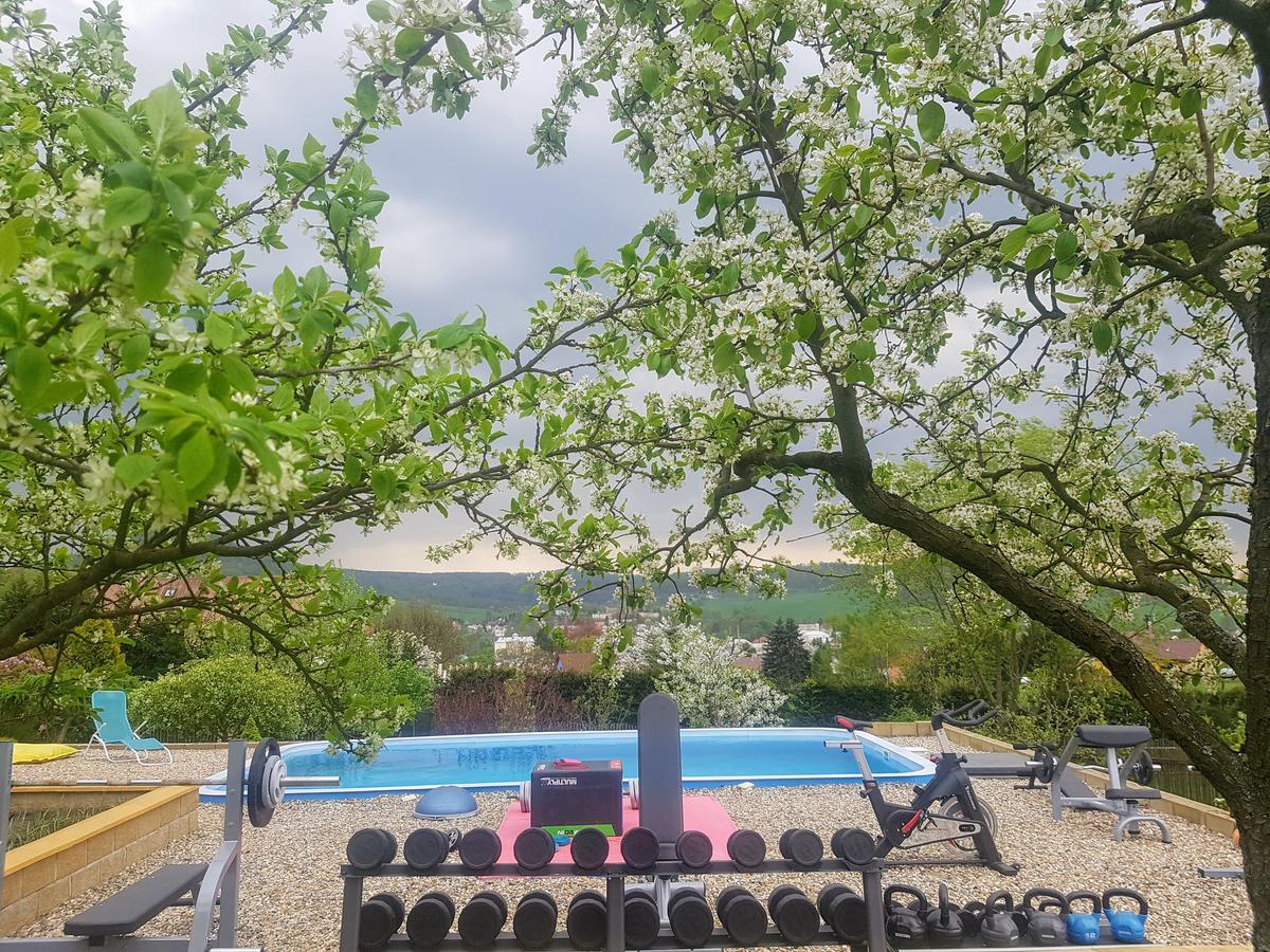 Česká Kamenice Vila Na Skalce מראה חיצוני תמונה